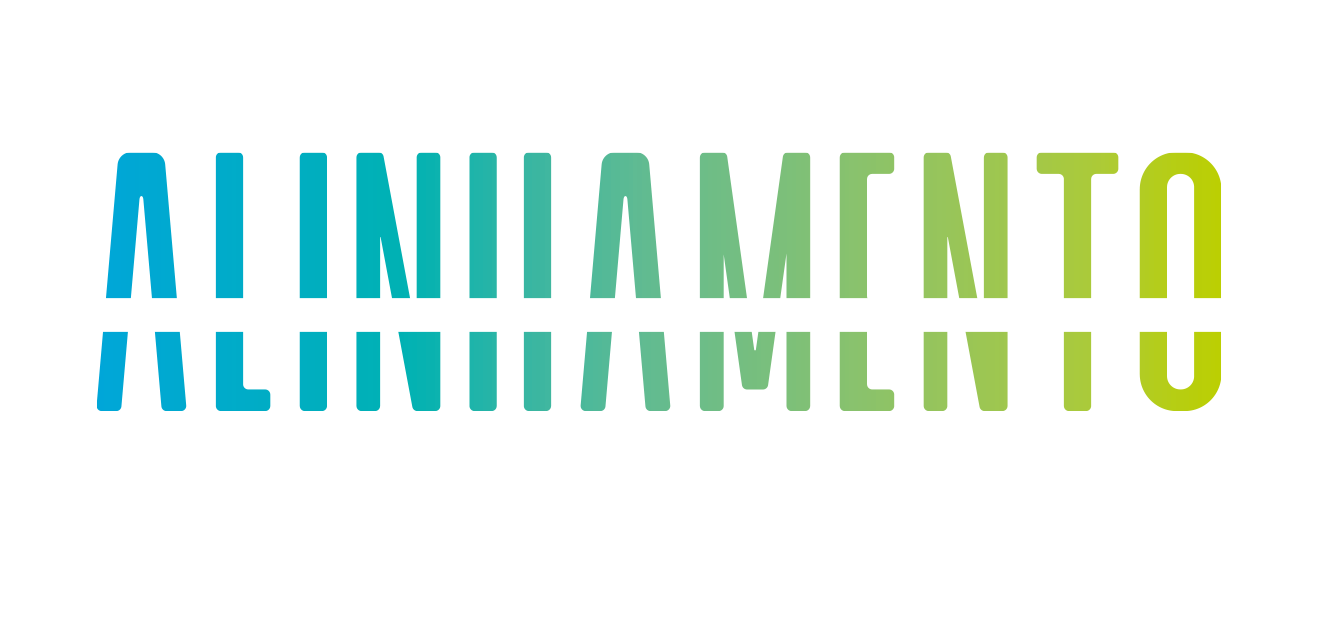 Conferência de Alinhamento e Visão